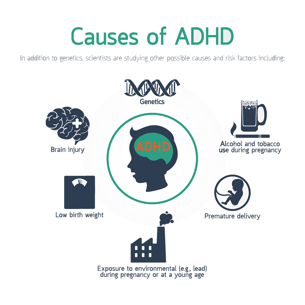 Causes of ADHD infographic