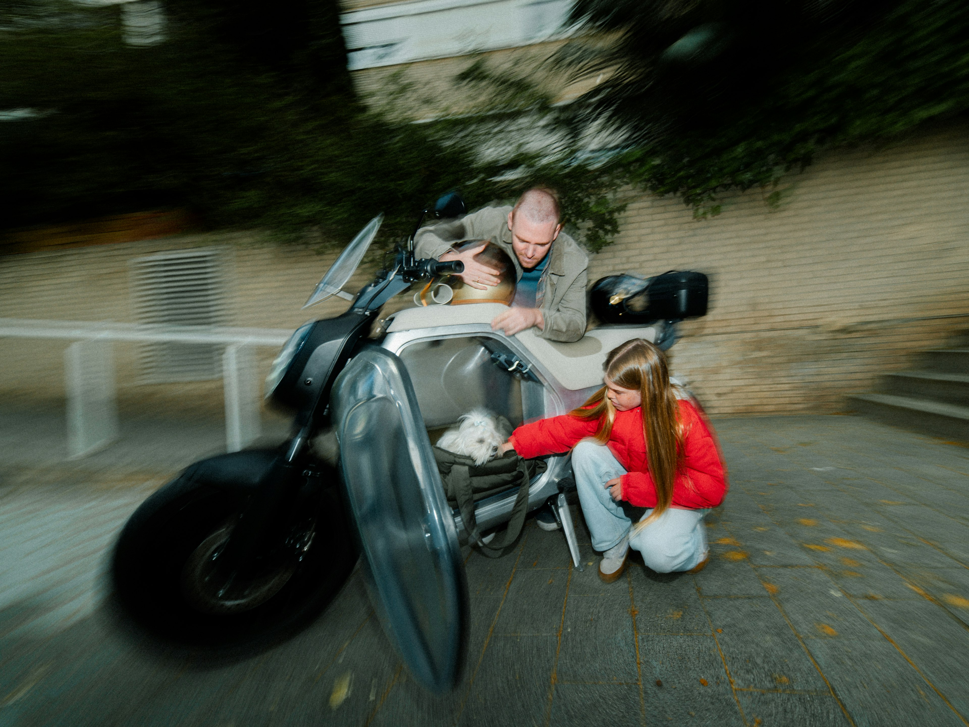 Family and dog arrived home