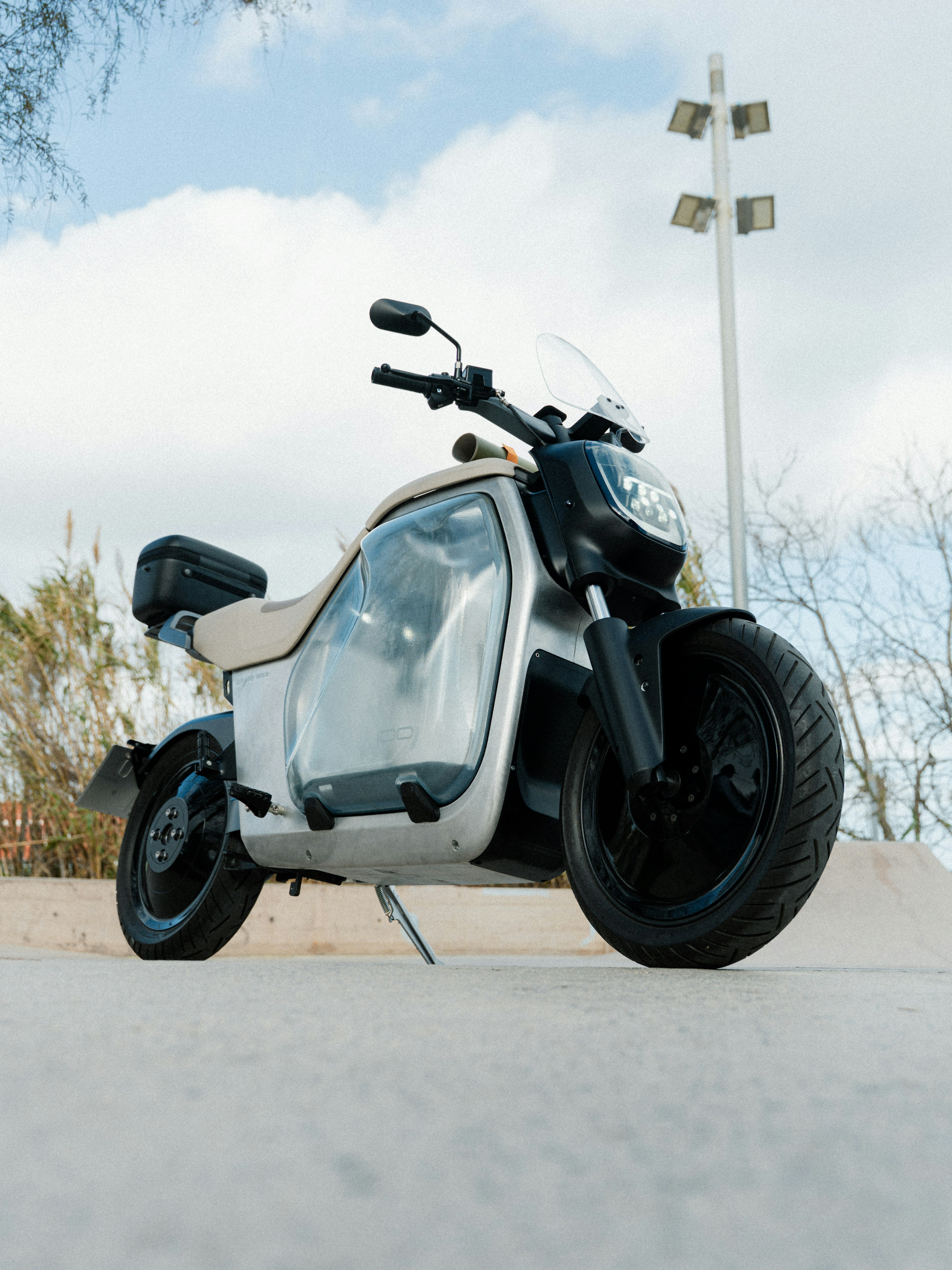 Beautiful any on the skatepark