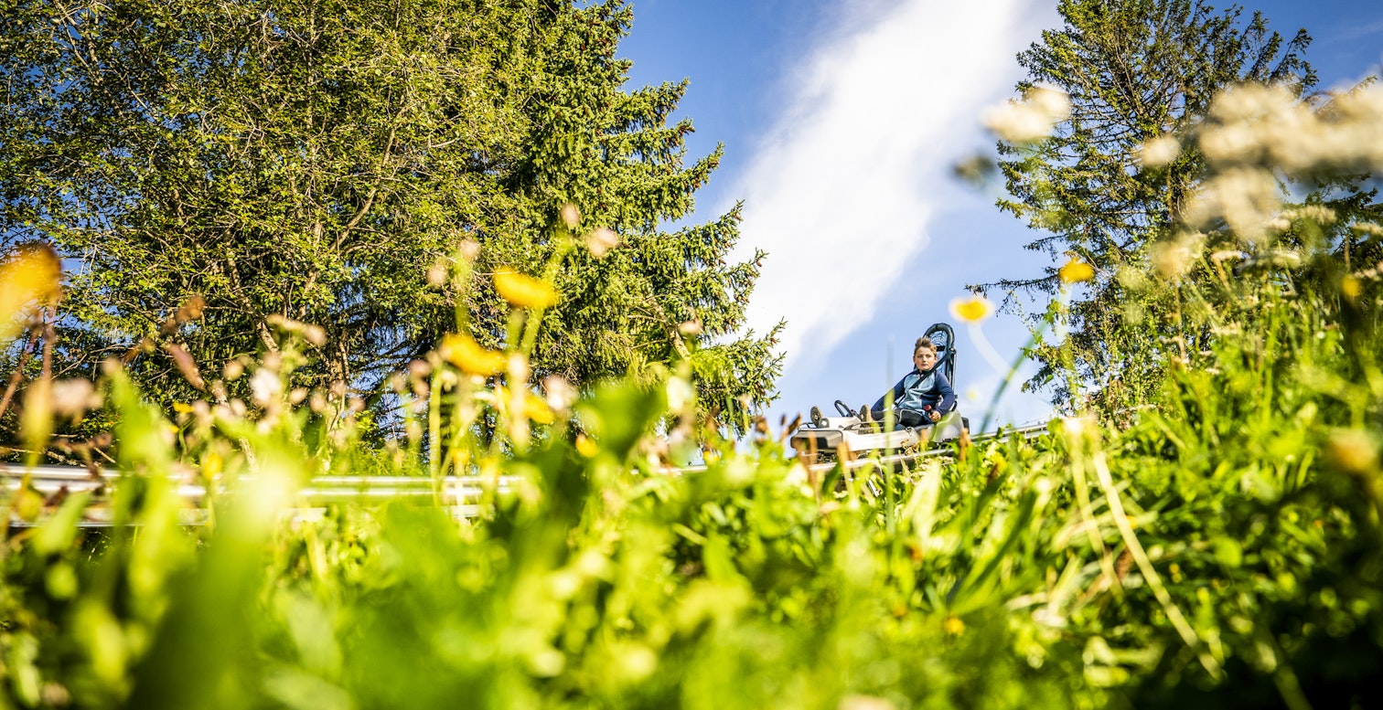 luge sur rails au milieu des fleurs printemps