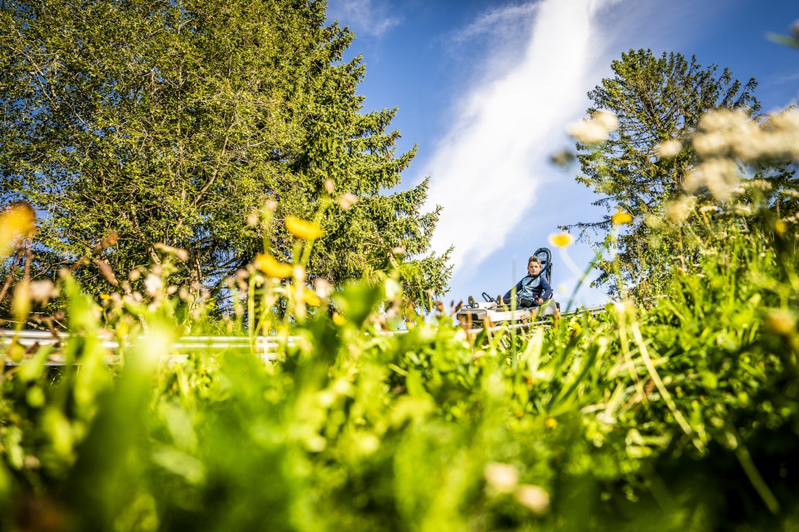 luge sur rails au milieu des fleurs printemps