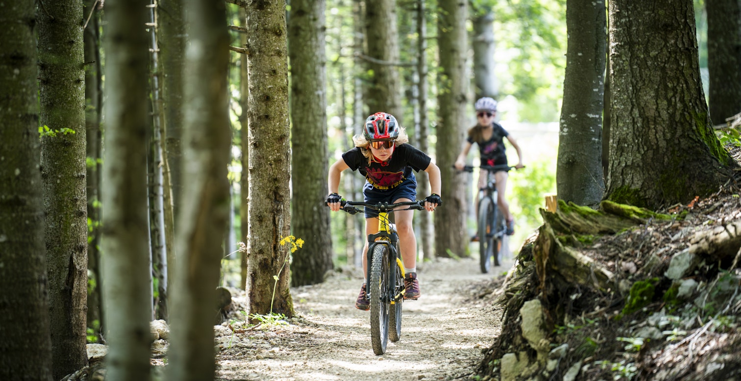 Enfants en VTT dans la forêt