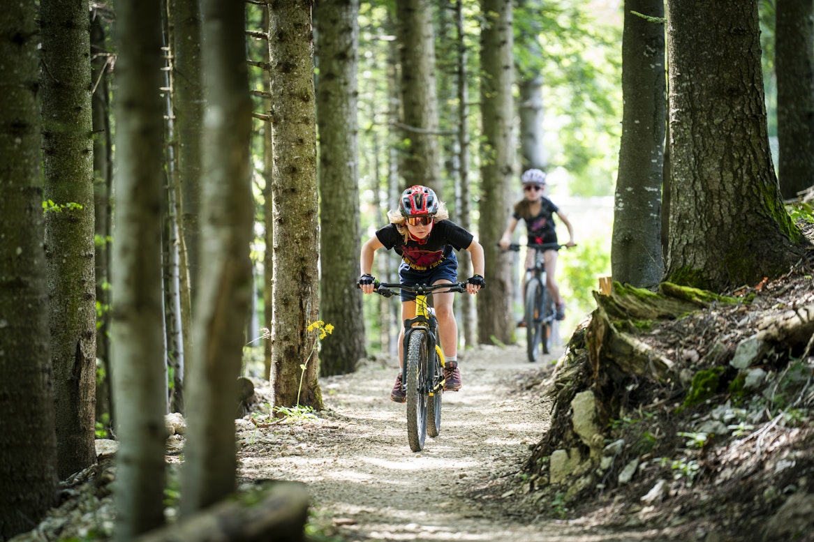 Enfants en VTT dans la forêt