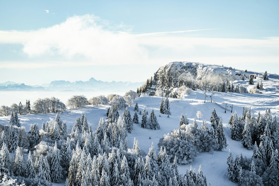 Paysage Hiver