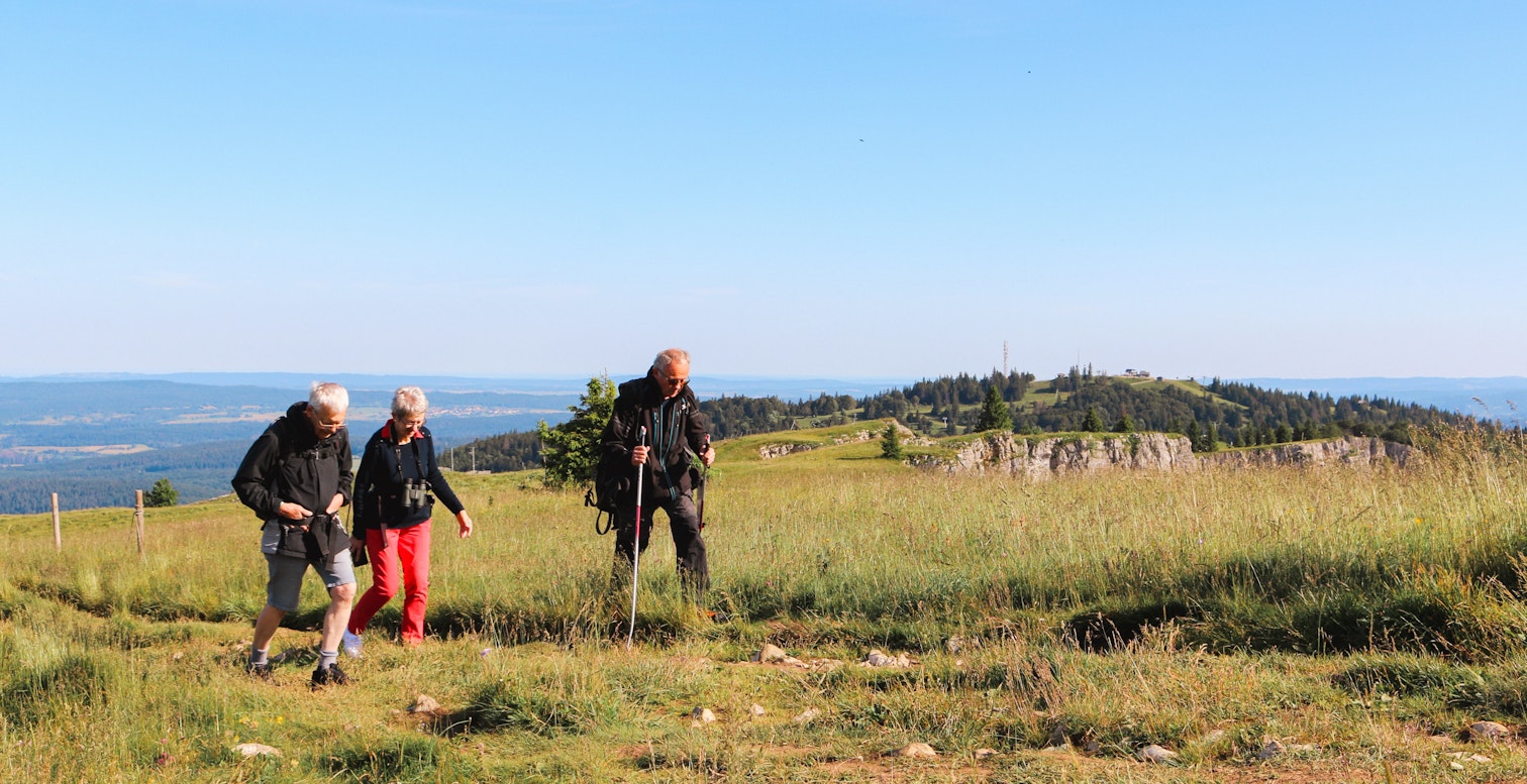 promenade à la découverte de la nature du Mont d'Or