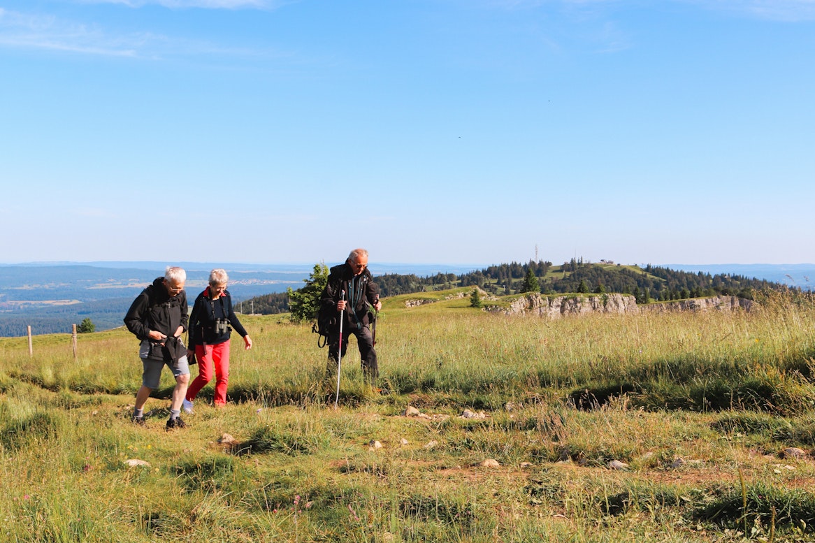 promenade à la découverte de la nature du Mont d'Or