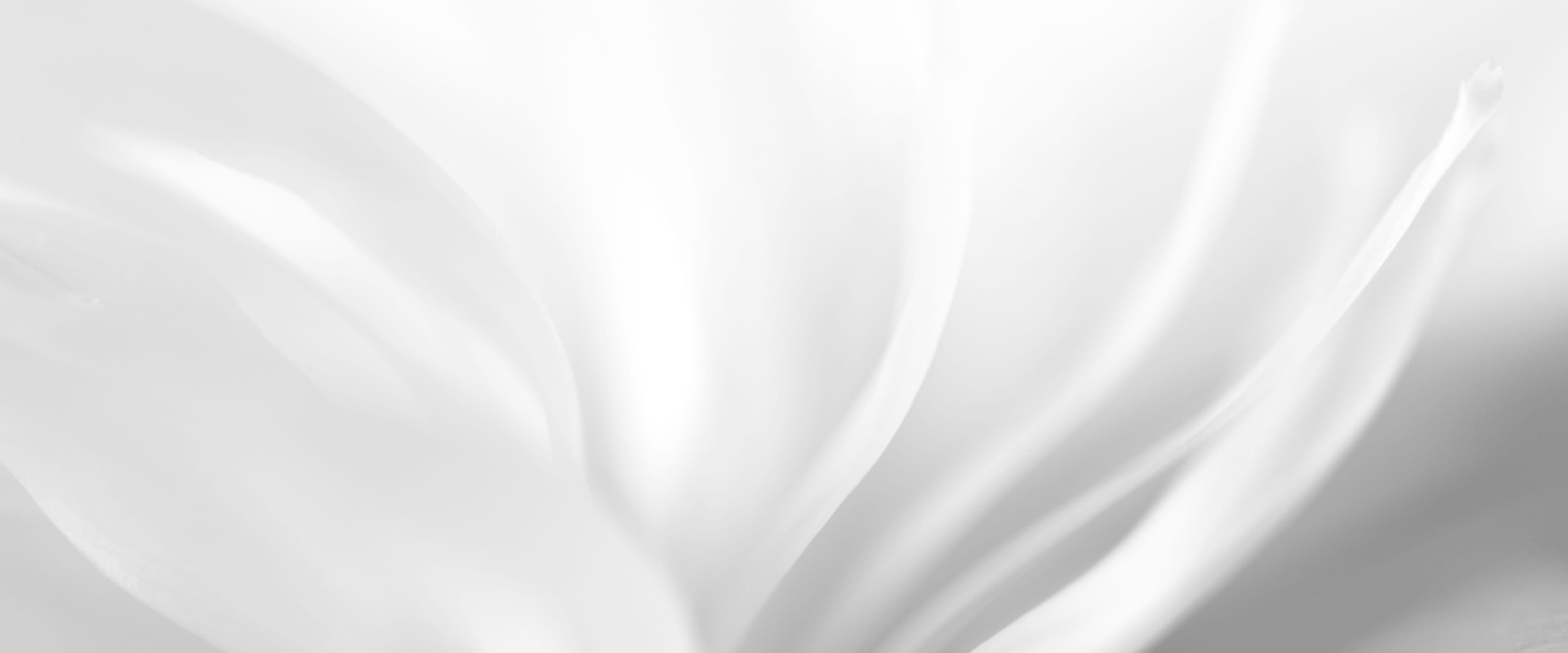 Banner media