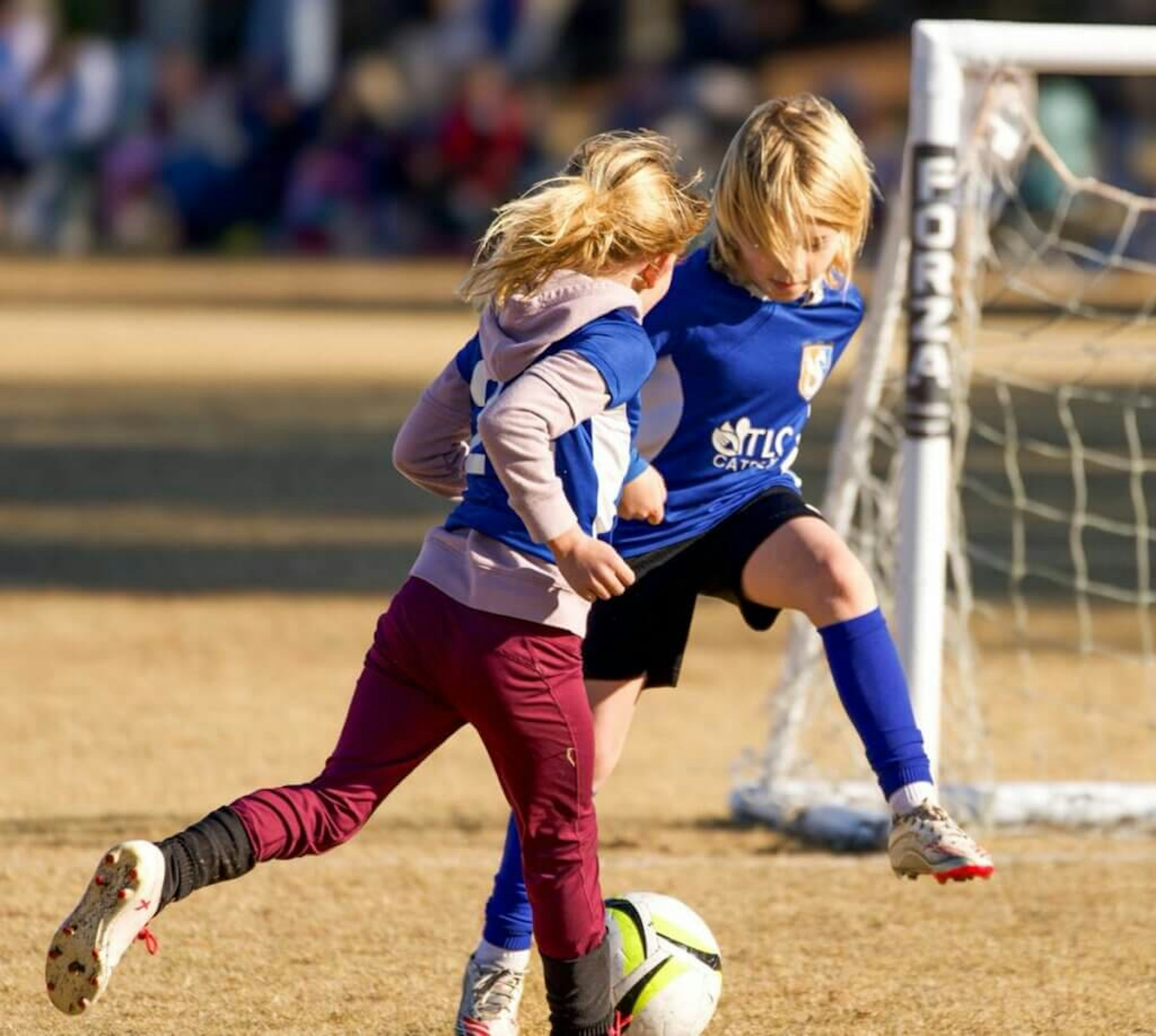 February Newsletter 2026