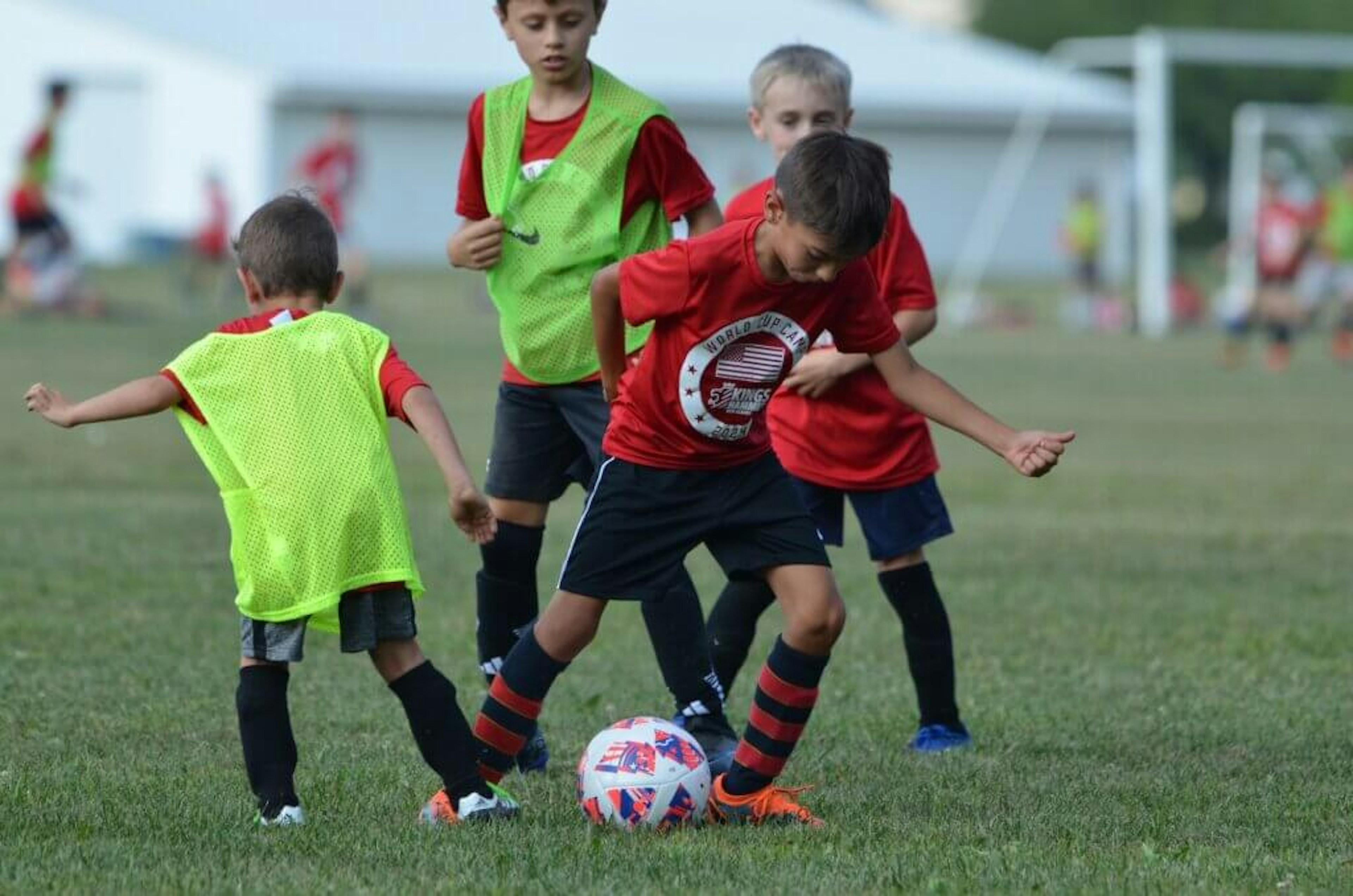 August Newsletter 2024