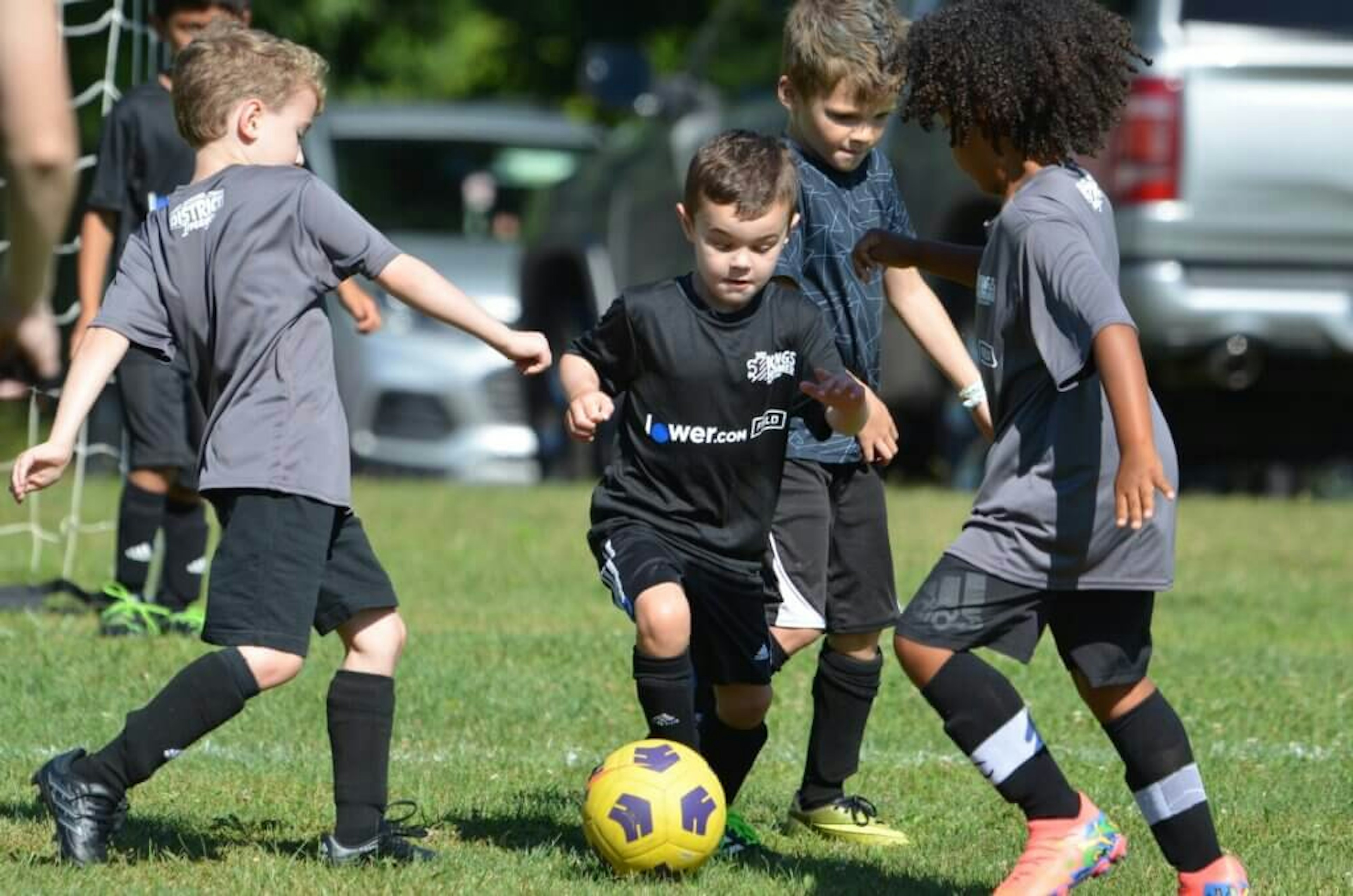 August Newsletter 2024