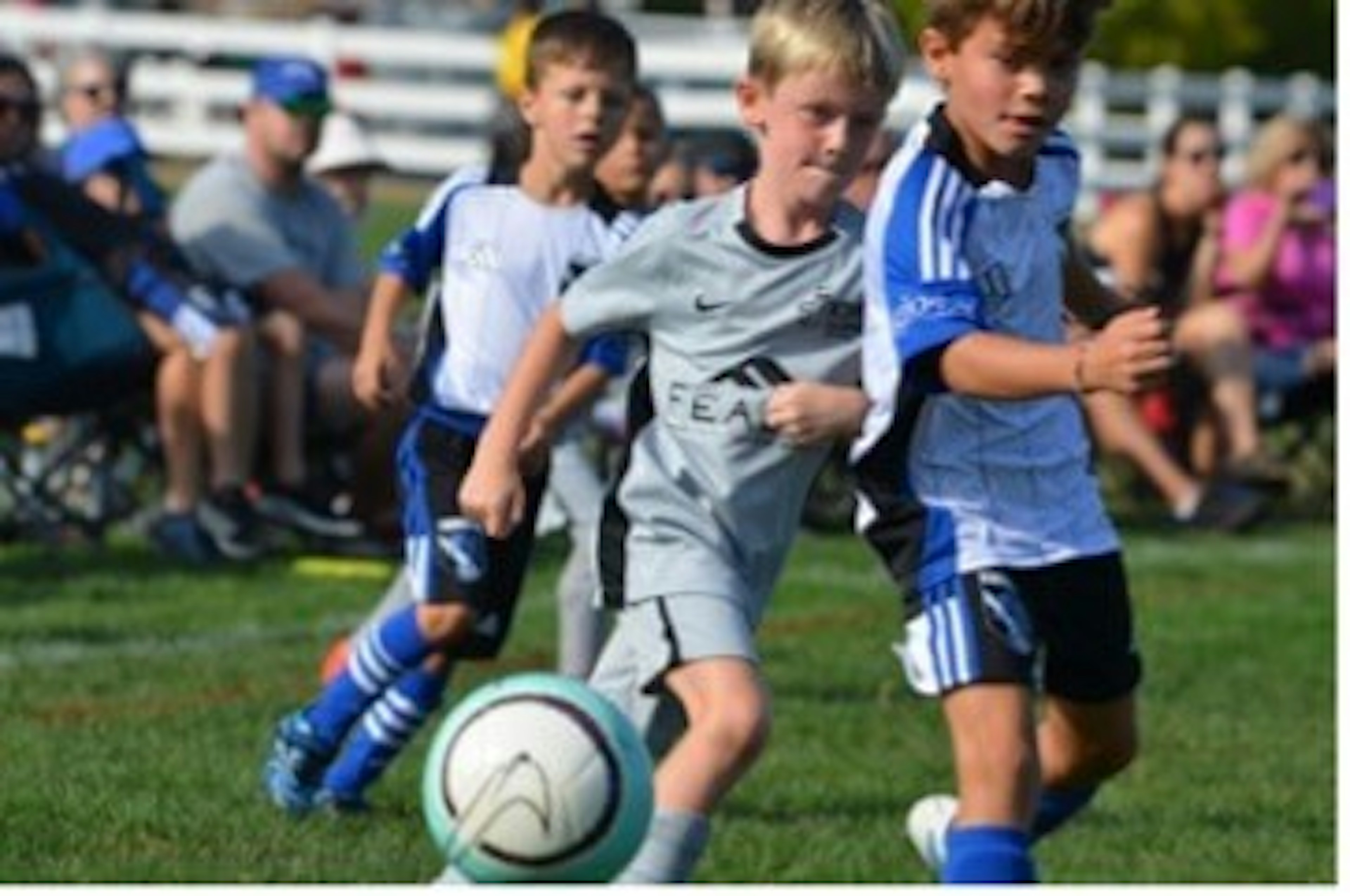 September Newsletter 2024