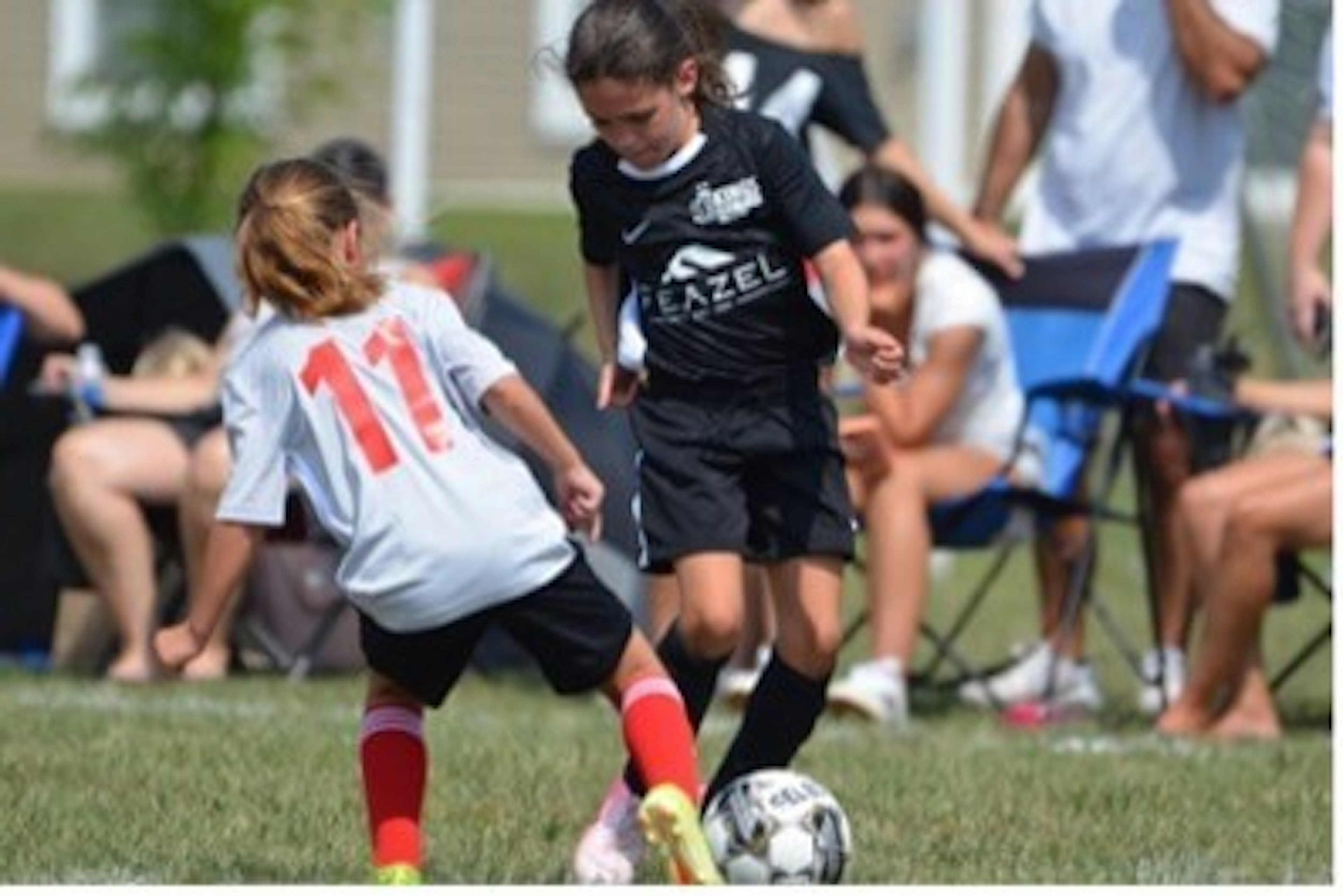 September Newsletter 2024