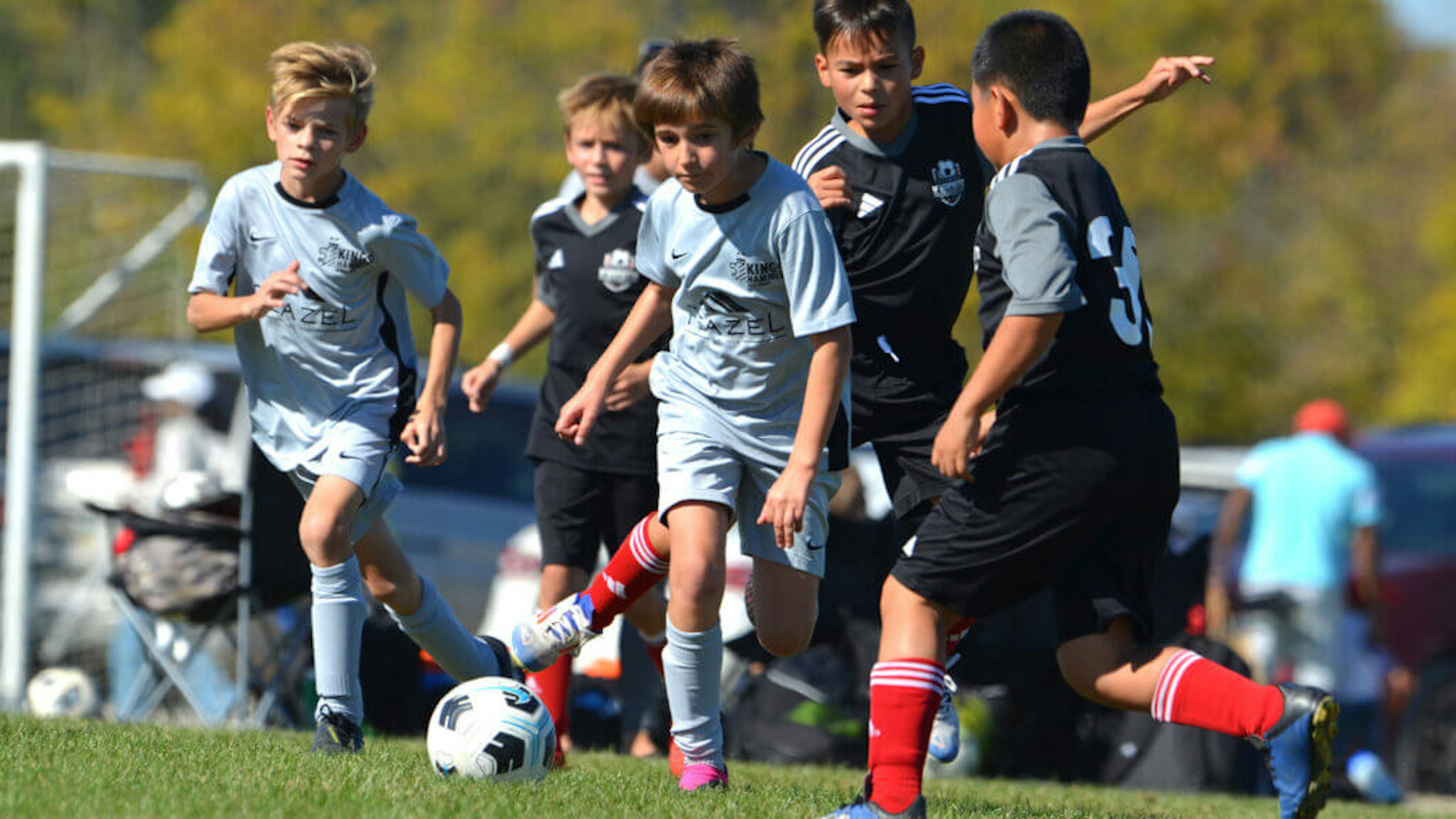 December Newsletter 2024