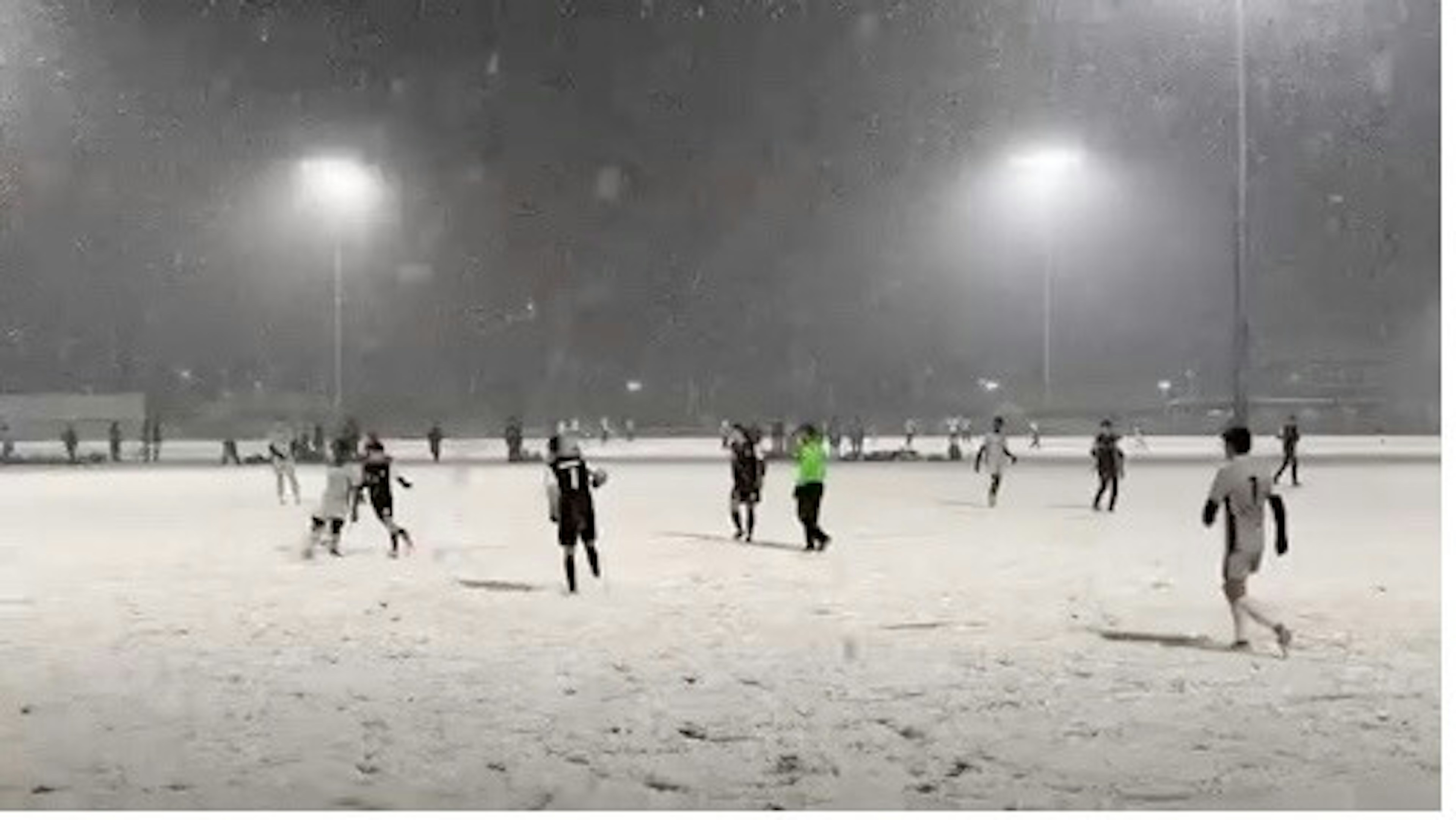 March Newsletter 2025