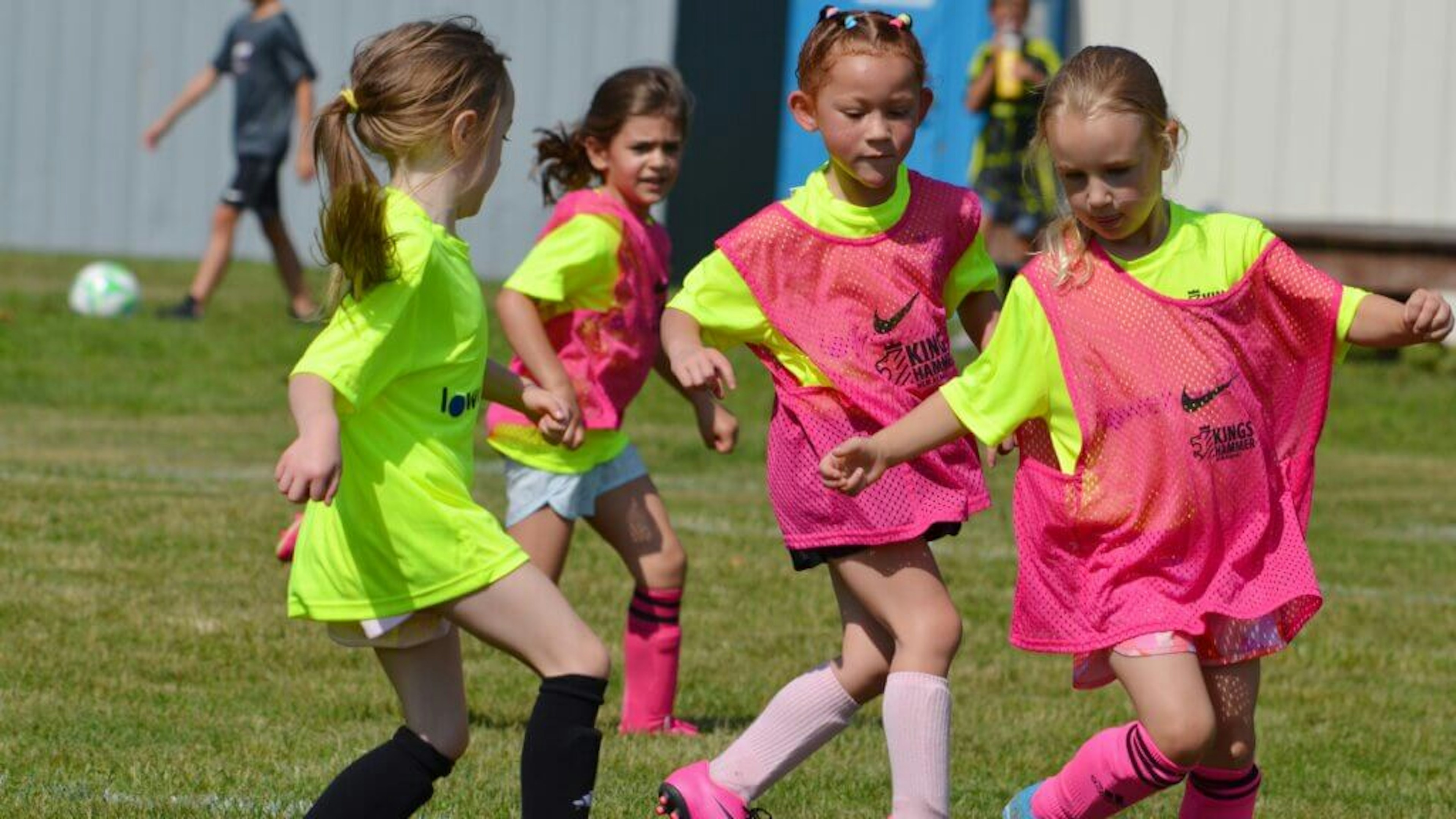 June Newsletter 2025