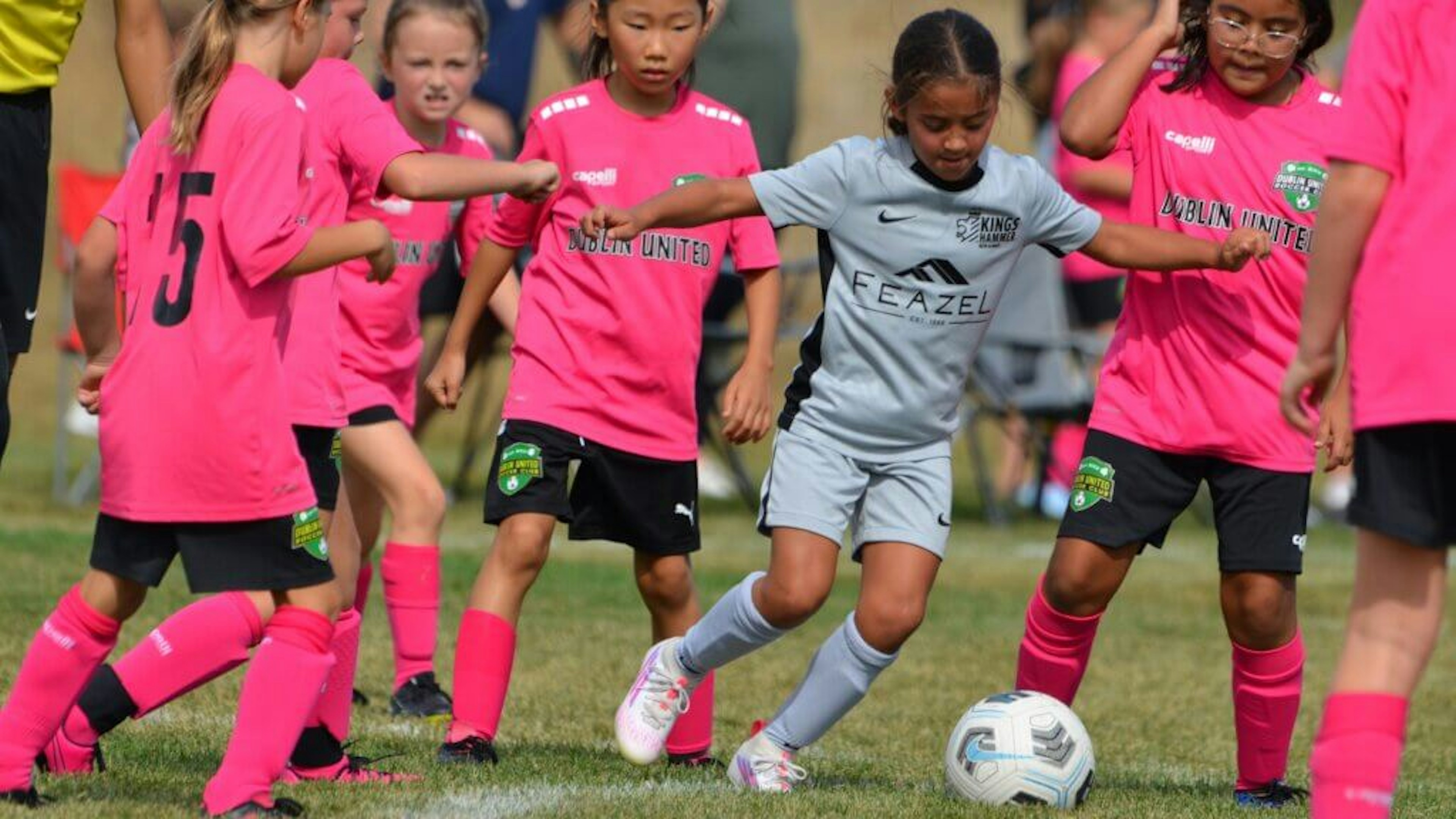 February Newsletter 2026