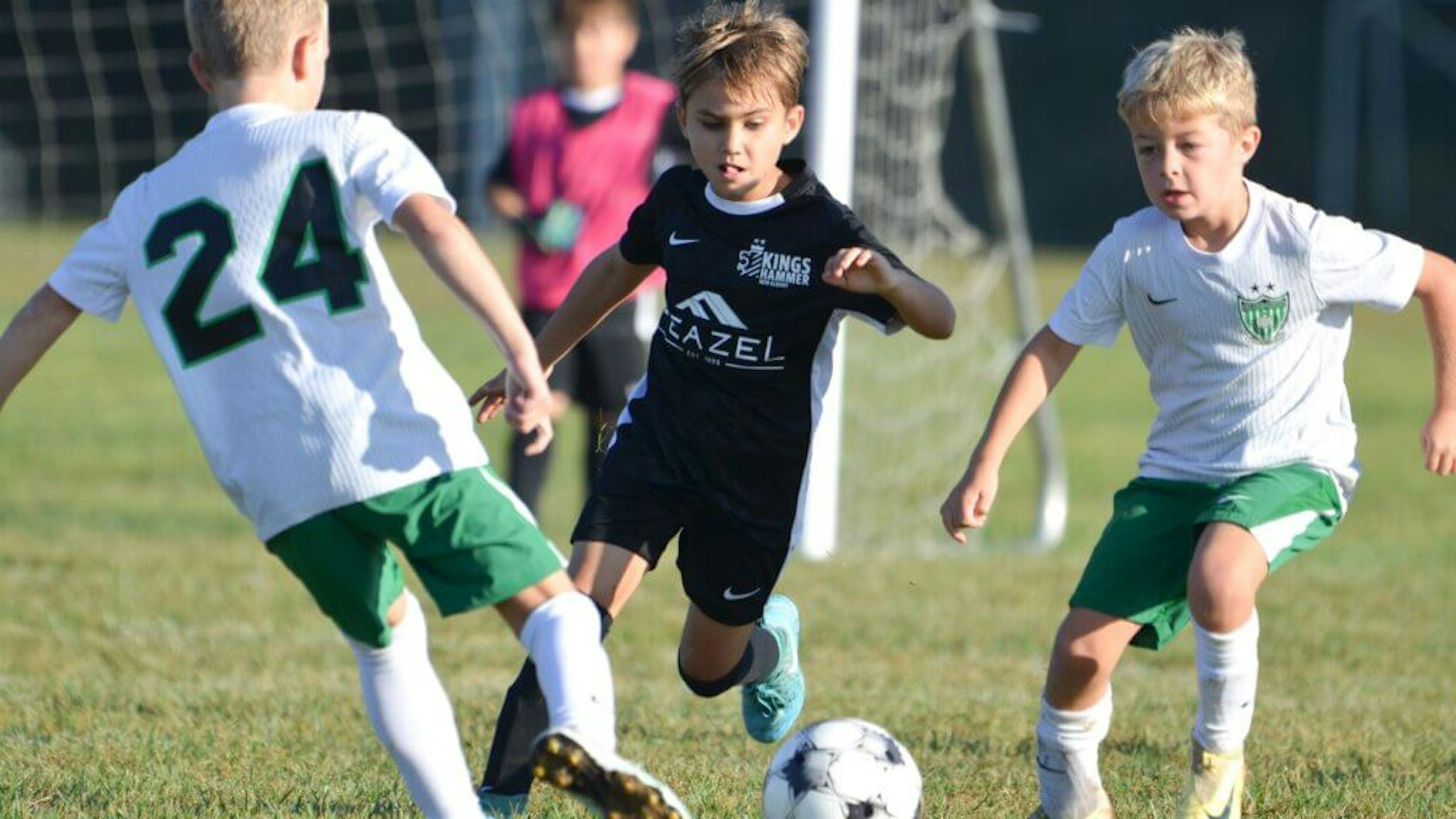 February Newsletter 2026