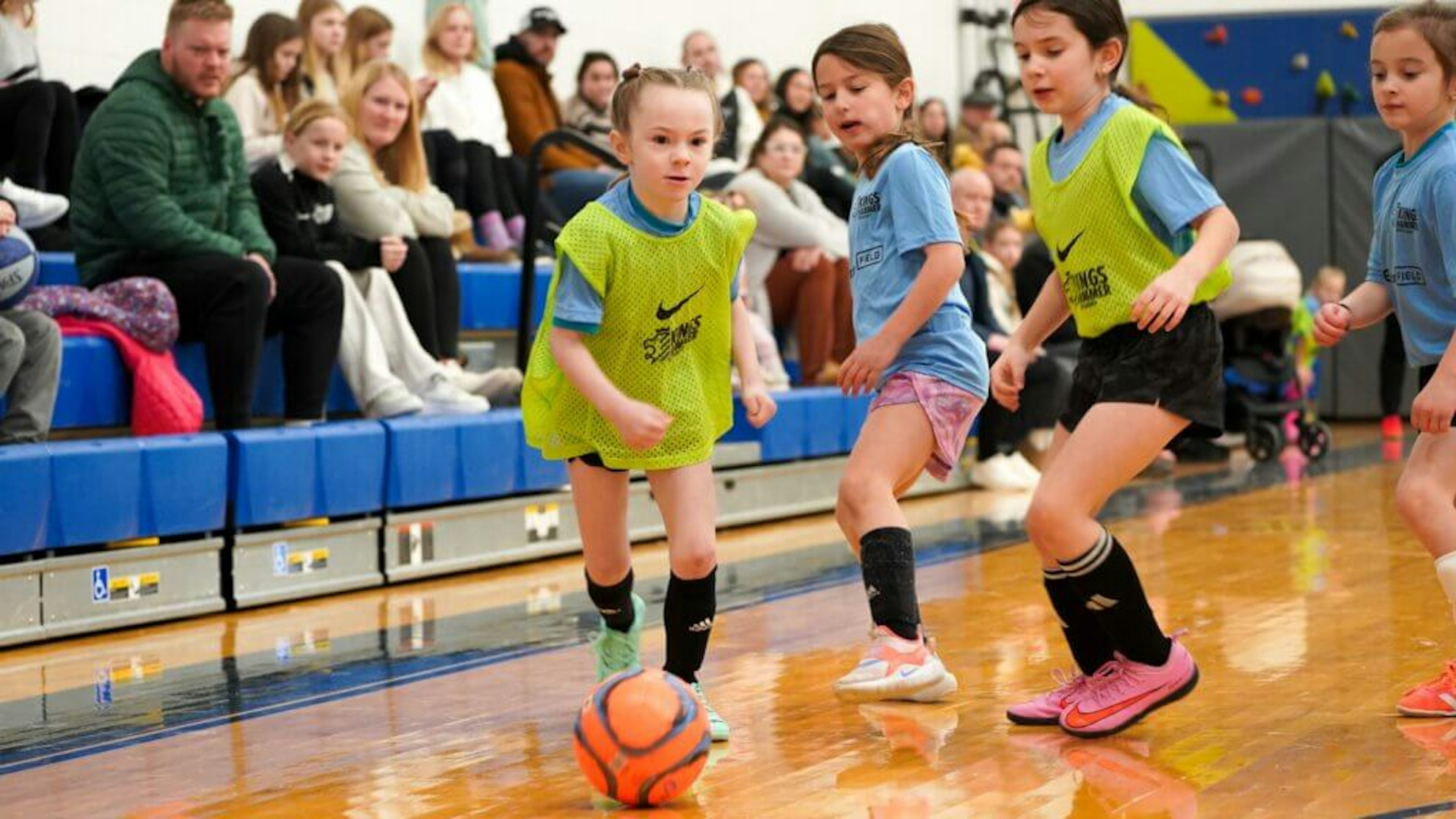 February Newsletter 2026