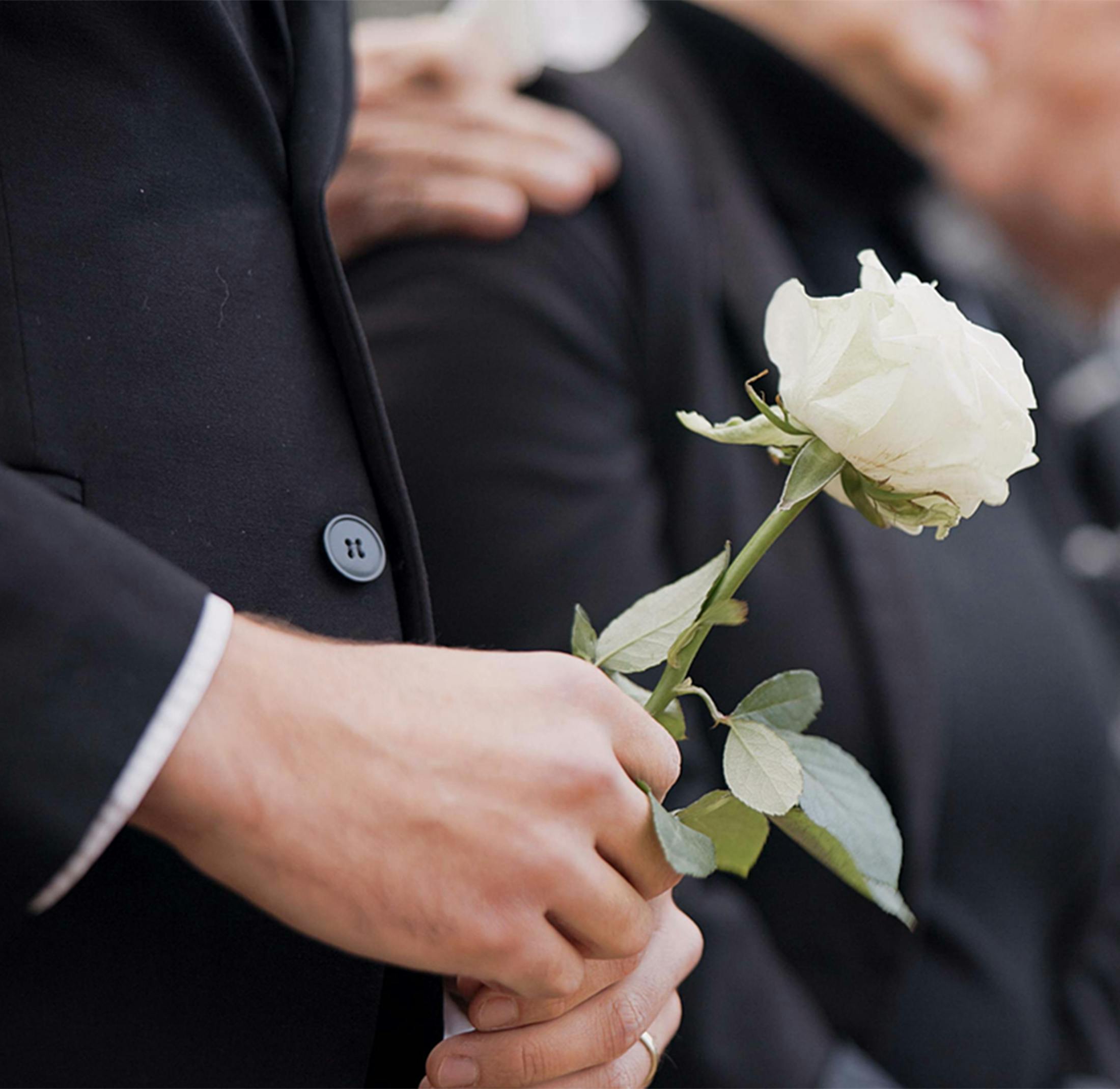 A person holding a white rose