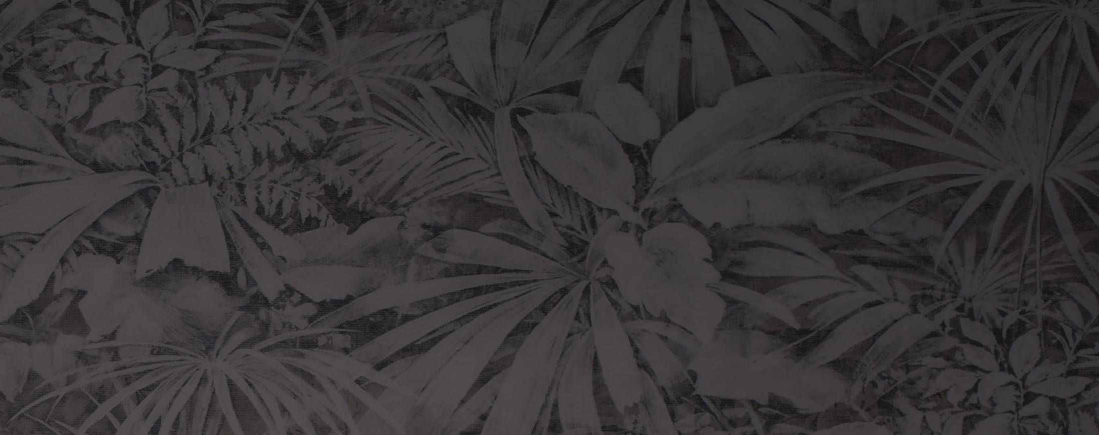 black and white image of leaves