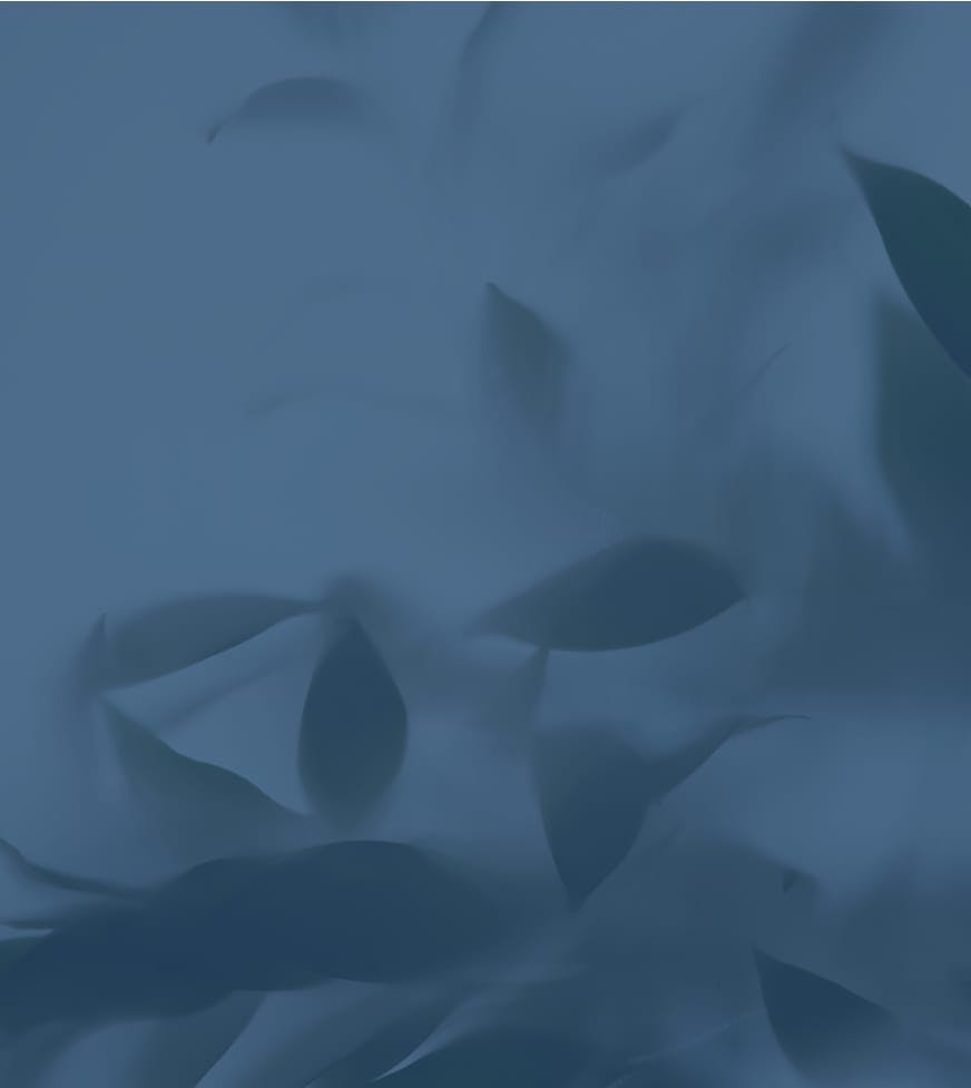 aesthetic blue image