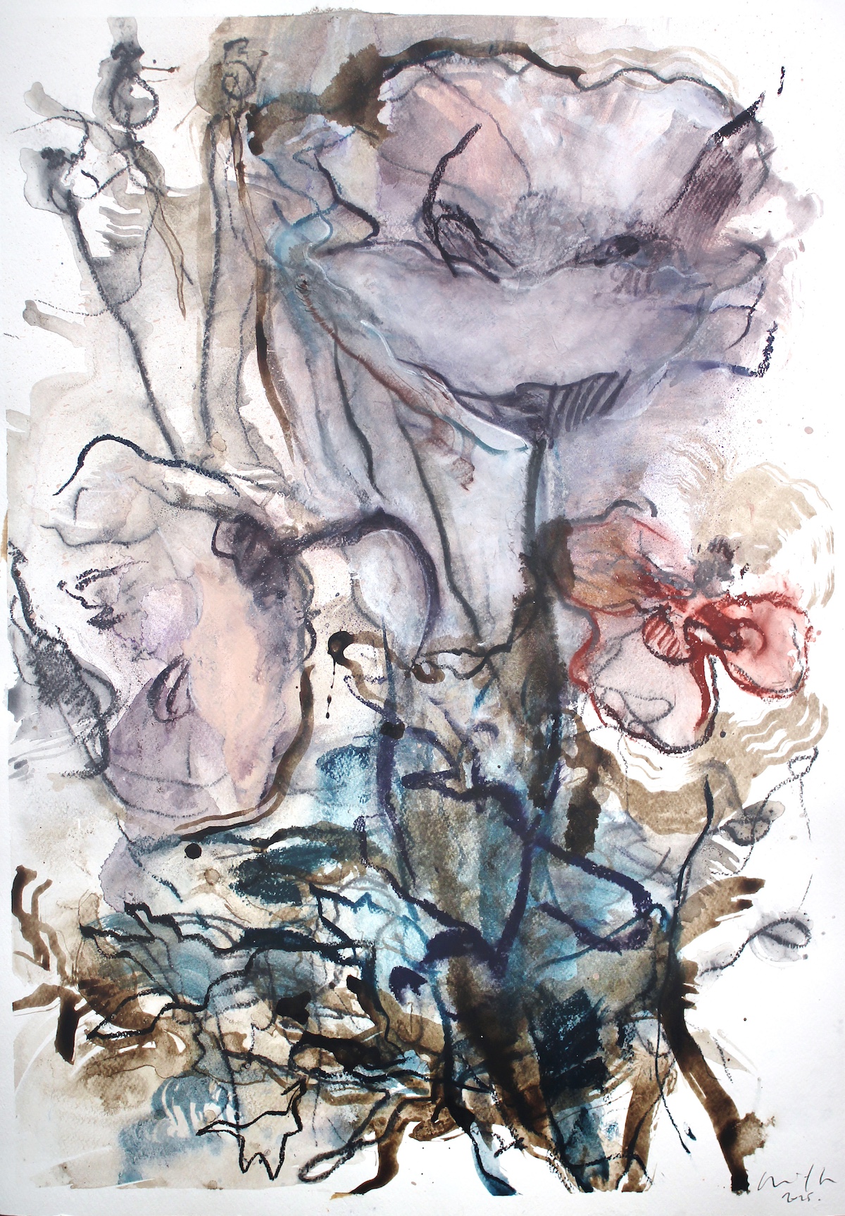 A Tangle of Wild Poppies