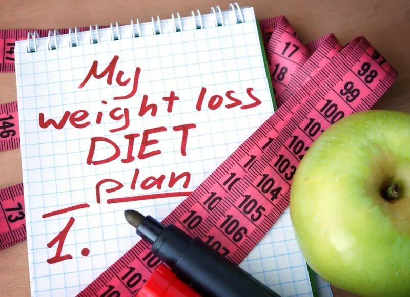 weight loss diet plan notebook