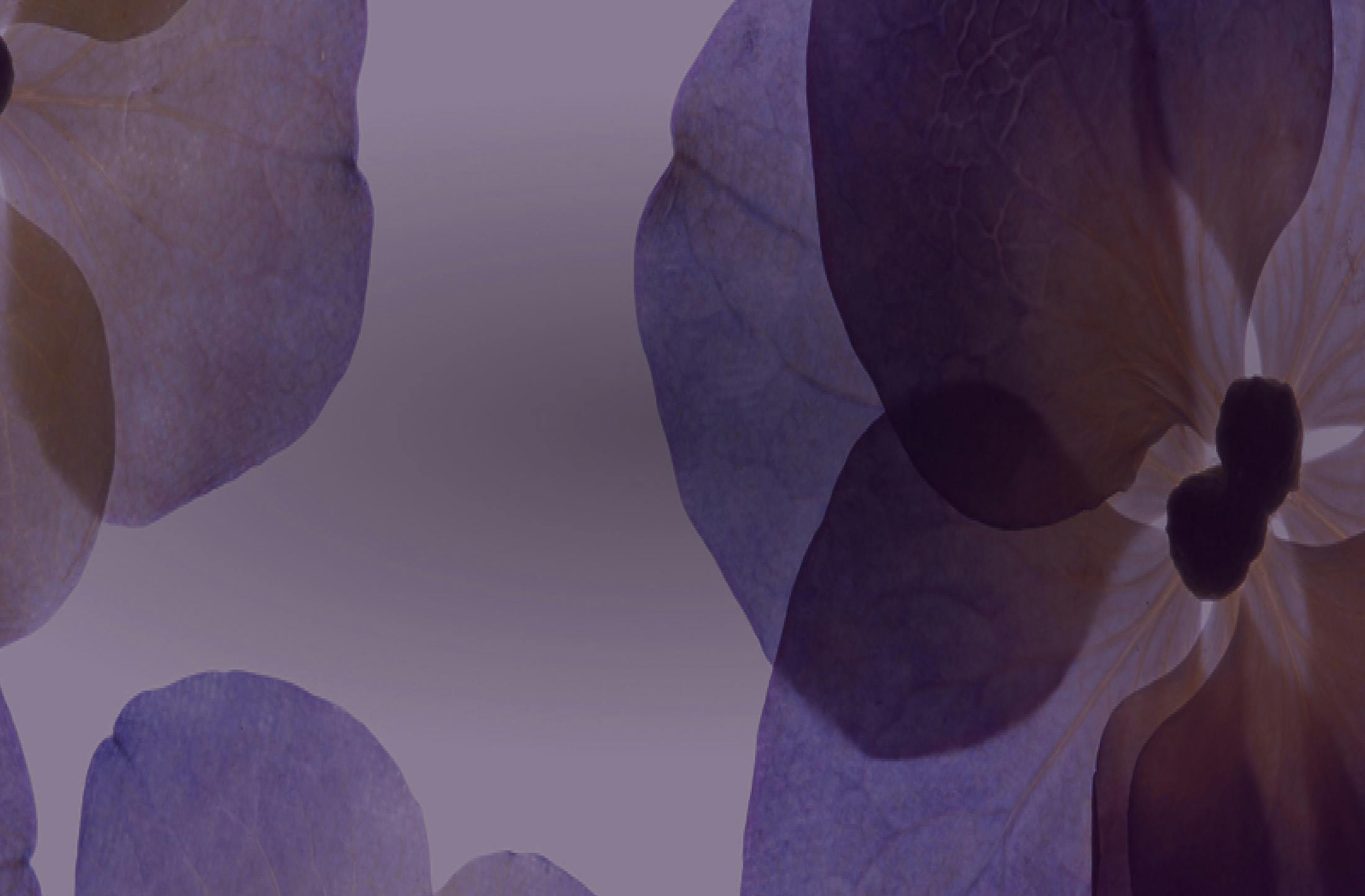 Background media