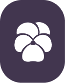Logo media