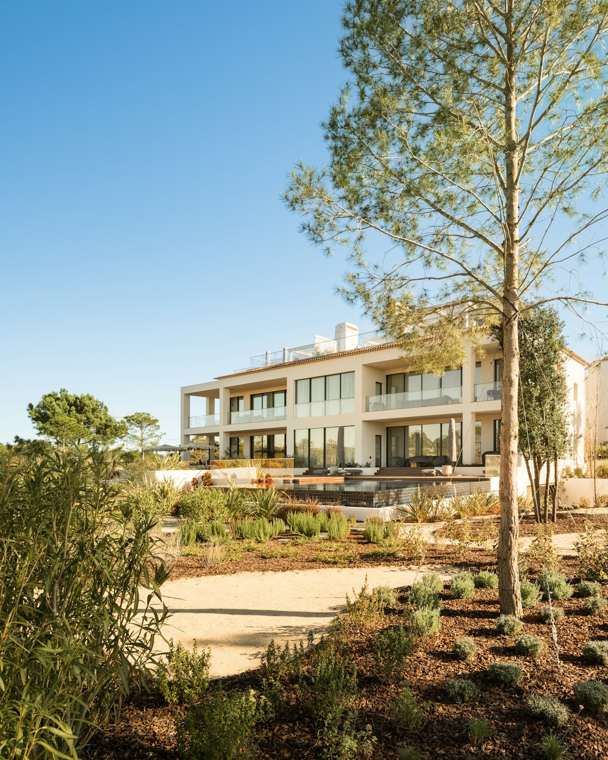 Pine Barrens 27 main