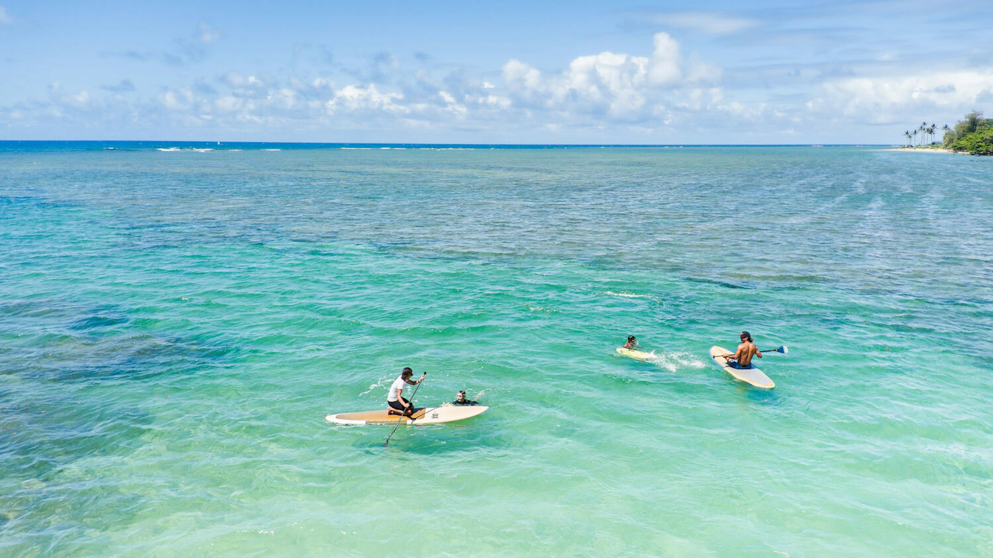 North Shore Preserve