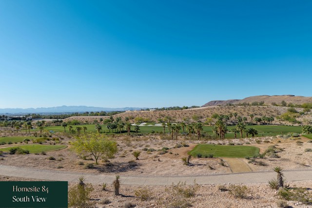 11151 Witchcraft Court 5