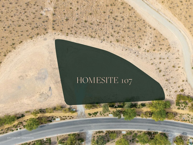 11148 Stardust Drive photo 1