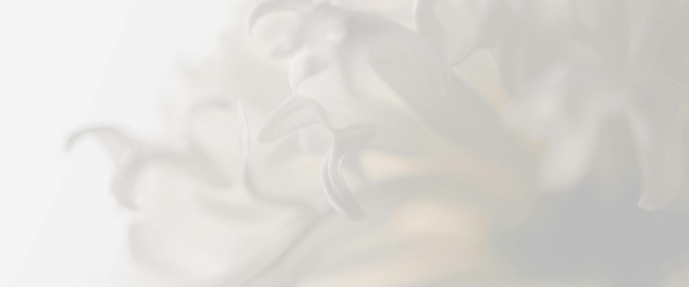 Banner media