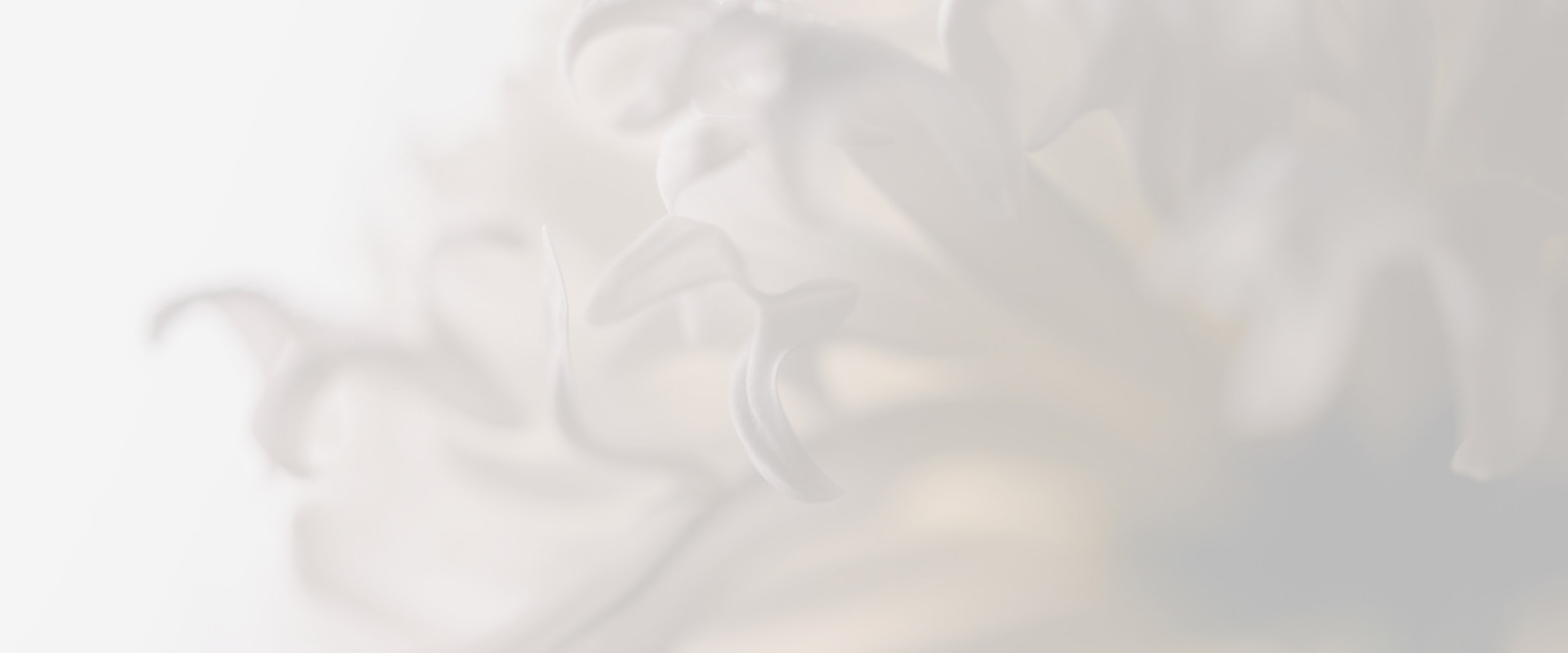 Banner media