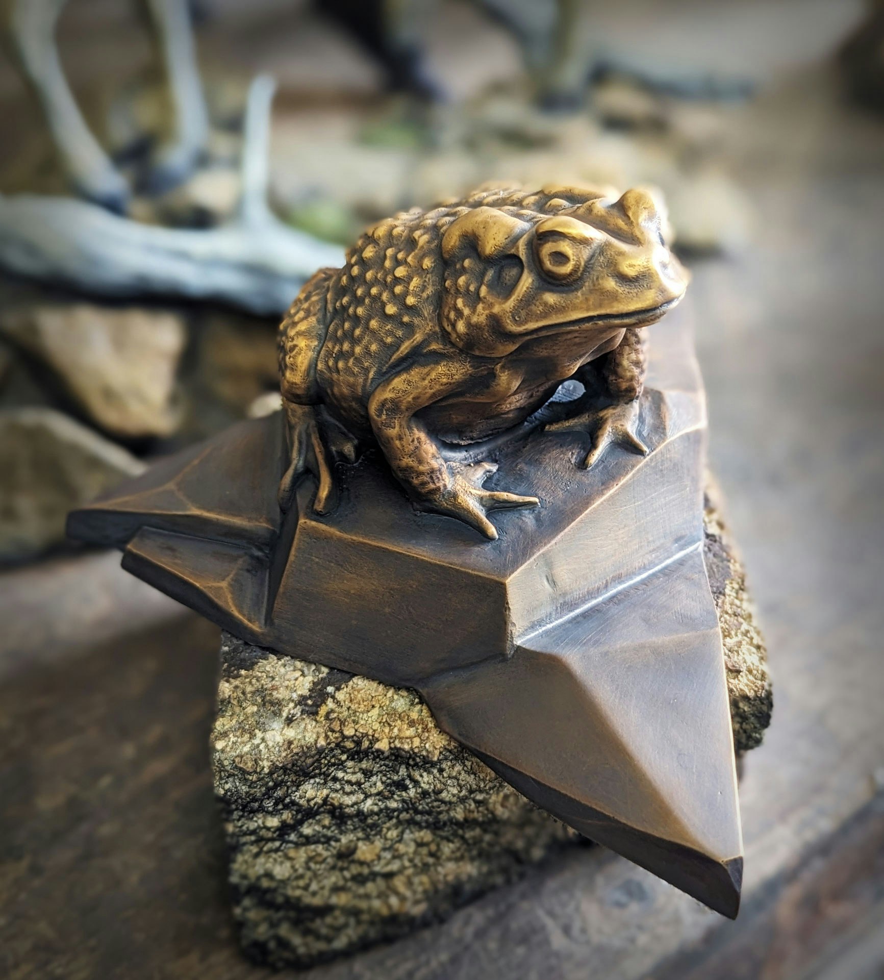Boreal Toad | Scott Wood Art