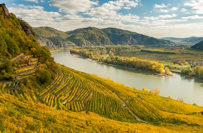 A Dinner with Vinea Wachau