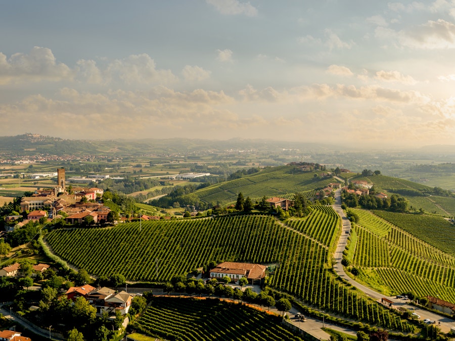 GAJA – ICONS & VINTAGES