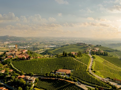 GAJA – ICONS & VINTAGES