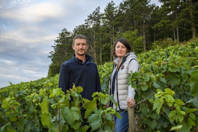 Domaine Raveneau & Salomon Alttus
