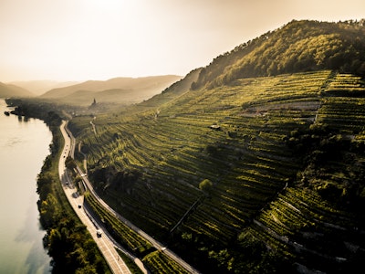 Dinner der Vinea Wachau