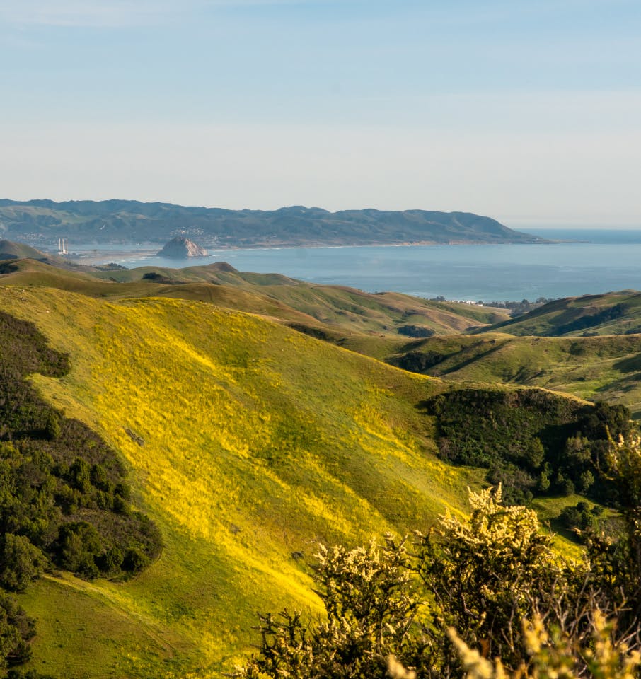 hills by the ocean