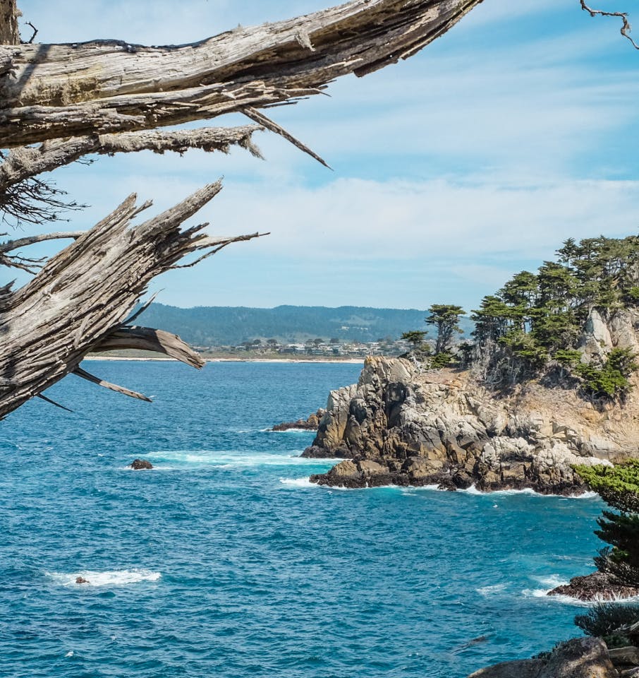 cliffs by the ocean