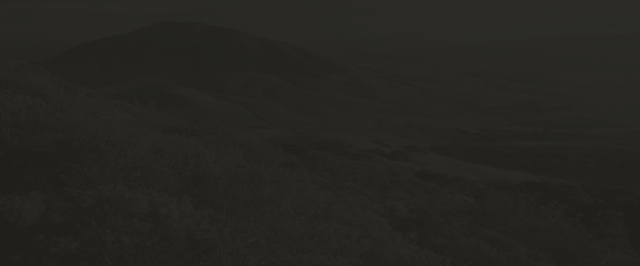 Banner media