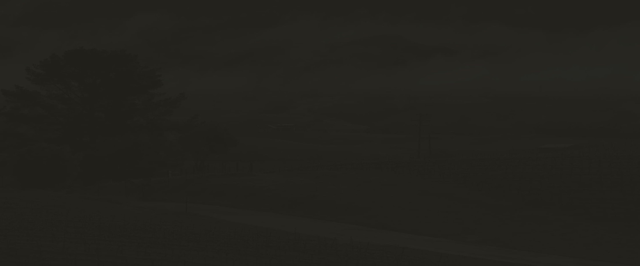 Banner media