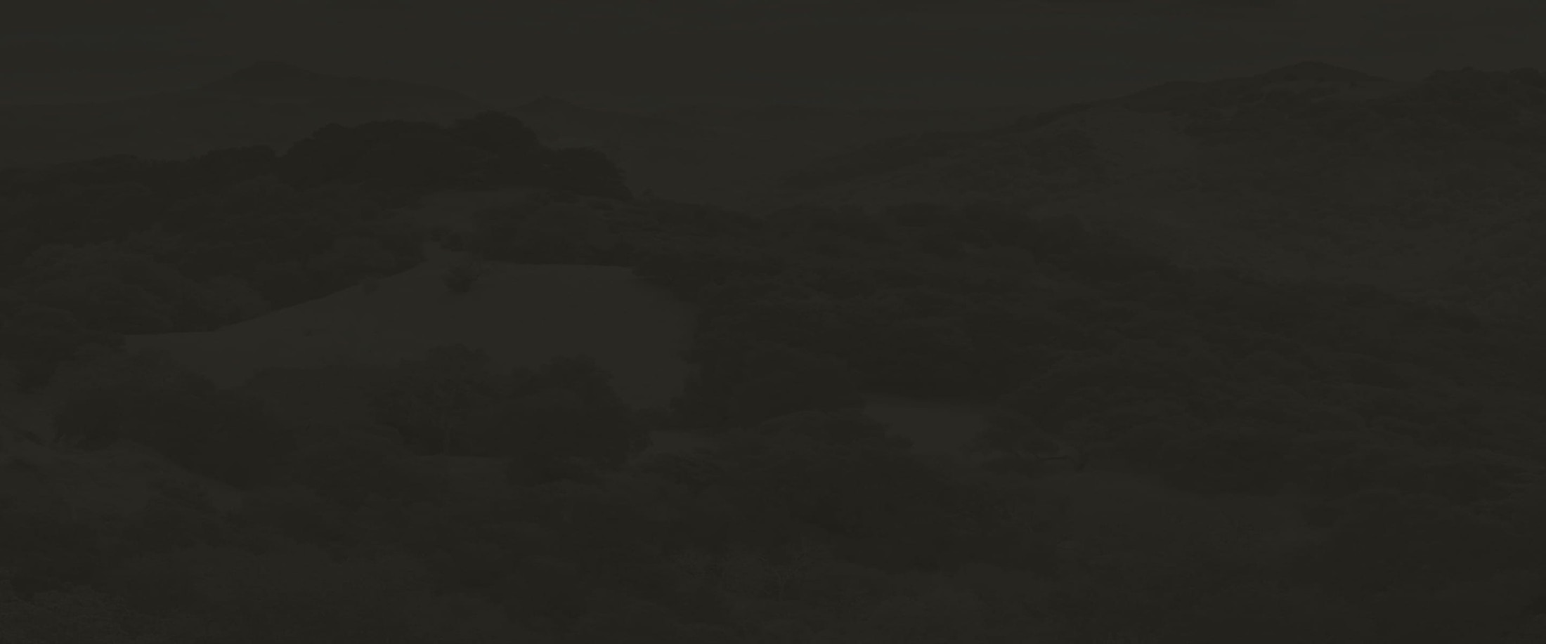 Banner media