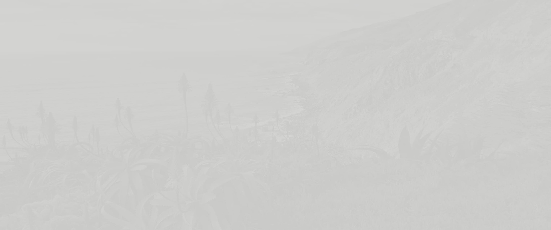 Banner media