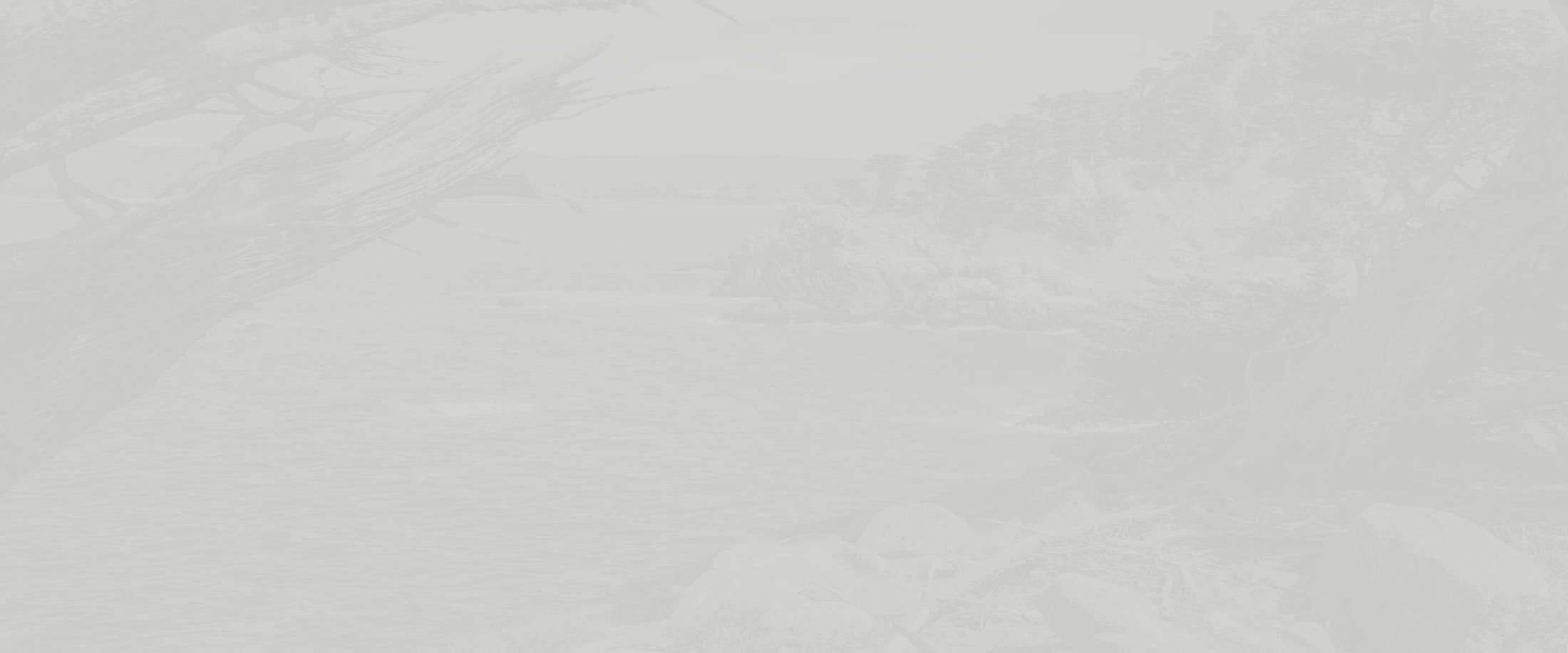 Banner media
