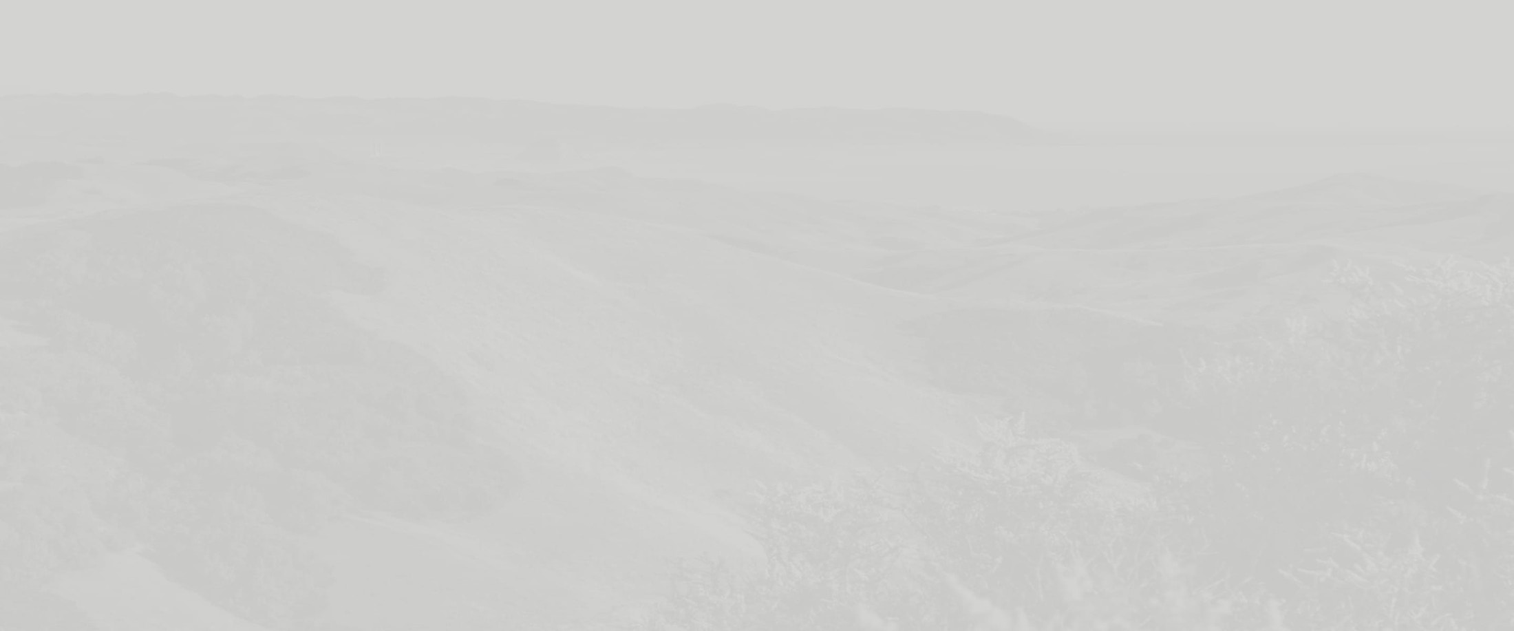 Banner media