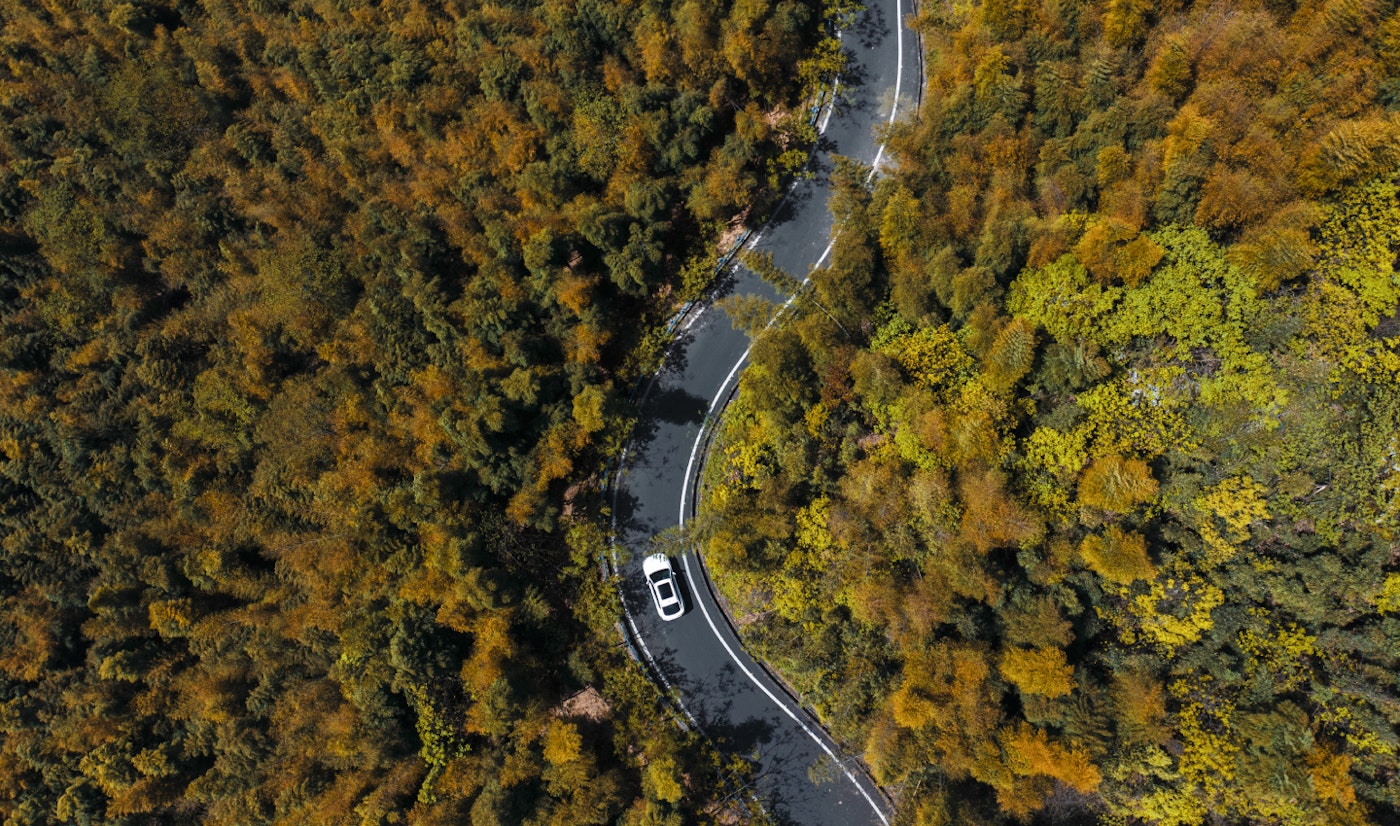 Carbon neutrality
